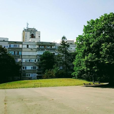 Apartmán Men Who Knit Bělehrad Exteriér fotografie