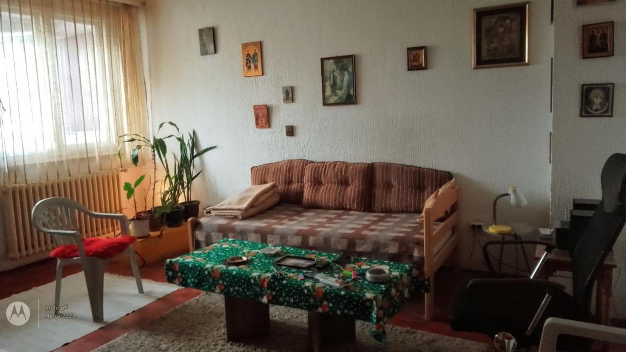 Apartmán Men Who Knit Bělehrad Exteriér fotografie