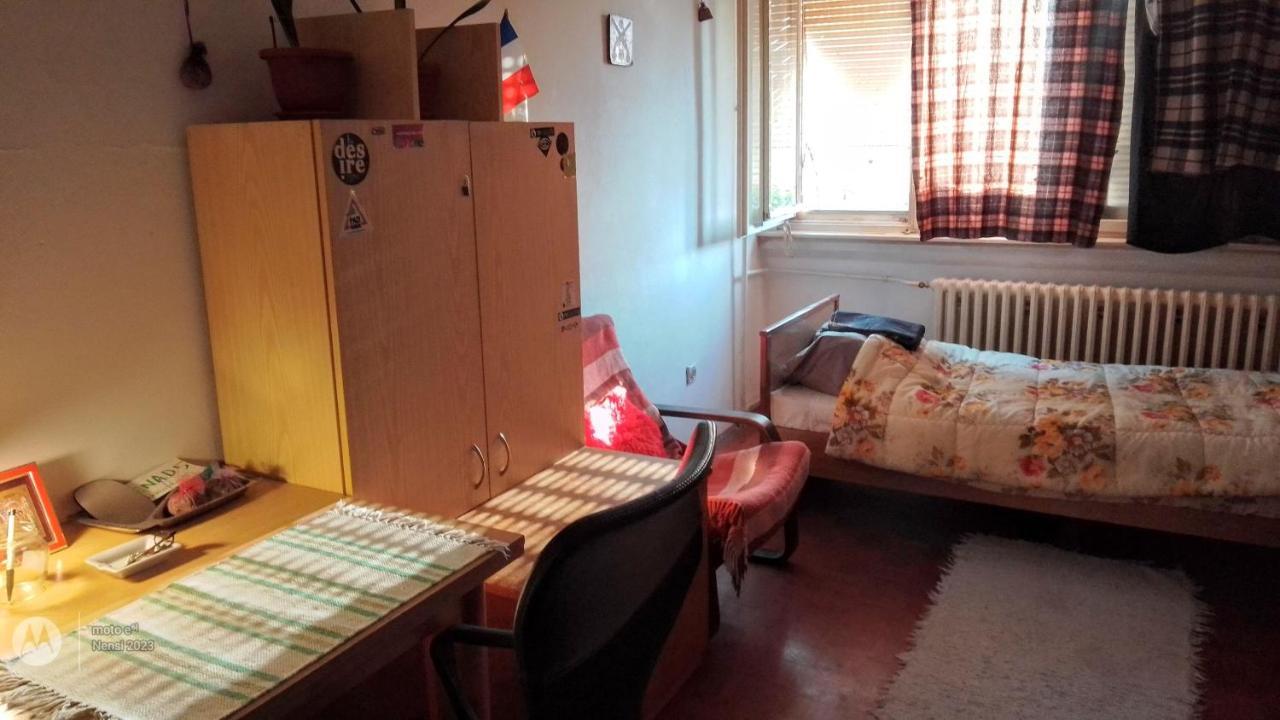 Apartmán Men Who Knit Bělehrad Exteriér fotografie