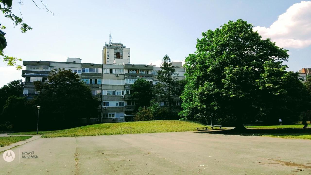 Apartmán Men Who Knit Bělehrad Exteriér fotografie